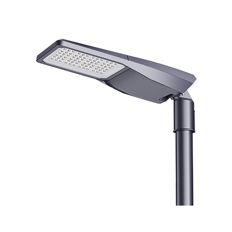 100W LED-gadebelysningshus